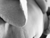 Bienvenue dans mon univers sensuel !
Tu cherches des moments intimes, authentiques et terriblement excitants ? Ici, c’est 100% plaisir garanti. Je crée du contenu exclusif, personnalisé et sans tabou, juste pour toi.

Ce que tu trouveras ici :Vidéos sexy, coquines & explicites
Contenu quotidien ou hebdo selon la plateforme
Scènes en solo, toys, roleplays, voix douce ou sale talk
Réponses privées + demandes personnalisées
Accès à mes fantasmes les plus fous… et peut-être les tiens aussi
Abonne-toi et découvre ce que j’ai vraiment à t’offrir.
Tu ne regarderas plus jamais une autre créatrice de la même façon DMs ouverts pour les fans sérieux