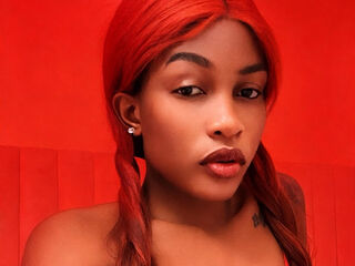 striptease show VivianArnault